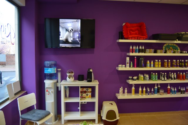 Expositor de cosmética canina en pared